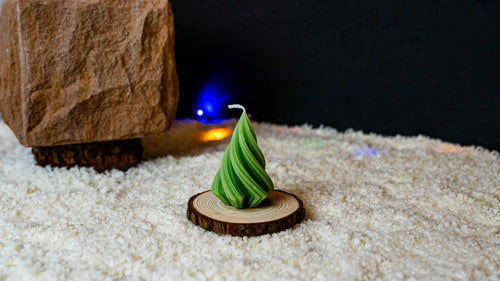 Curle Tree - der kleine Baum mit Drehung